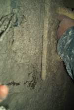 03 IM004258.jpg